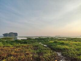 verde e fresco atmosfera di il cengklik serbatoio nel il mattina foto