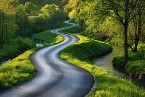 il fiume lungo con un' strada andando attraverso il confine di il strada professionale fotografia foto