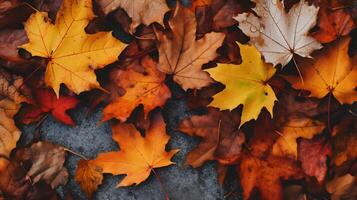 autunno sfondo con un' lotto di colorato caduto le foglie occupante tutti il spazio foto