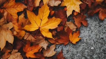 autunno sfondo con un' lotto di colorato caduto le foglie occupante tutti il spazio foto