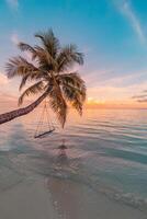 rilassare vacanza tempo libero stile di vita su esotico tropicale isola spiaggia, palma albero amaca sospeso calma mare. Paradiso spiaggia paesaggio, acqua ville, Alba cielo nuvole sorprendente riflessi. bellissimo natura foto