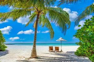 spiaggia tropicale natura come paesaggio estivo con sedie a sdraio e palme e mare calmo per banner spiaggia. lussuoso paesaggio di viaggio, bellissima destinazione per vacanze o vacanze. scena della spiaggia foto