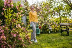 ritratto di contento anziano donna giardinaggio. foto