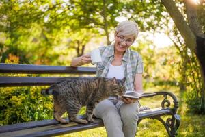 contento anziano donna gode lettura libro ,potabile caffè e la spesa tempo con sua gatto su un' panchina nel giardino. foto