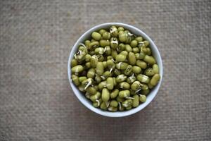 germogliato fagioli nel un' contenitore e tazza. dietetico germogliato grani. foto