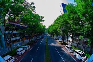 un' paesaggio urbano a omotesando viale nel tokyo fisheye tiro foto