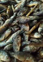 vario tipi di piccolo pesce siamo venduto nel tradizionale mercato foto