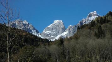 montagna dettaglio su dolomiti 4 foto