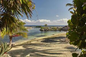 vista della spiaggia di puerto aventuras in messico filtrata da palme. foto