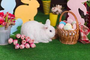 bianca coniglio nel Pasqua decorazione nel orizzontale orientamento con selettivo messa a fuoco foto