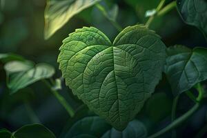 cuore siamo rianimato, natura, verde, foglia, 3d concetto foto