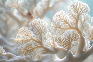 avvicinamento Visualizza di delicato corallo rami sbiancamento. foto
