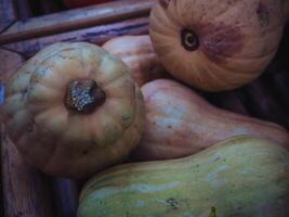 mucchio di zucca butternut nel supermercato su il ripiano. cibo sfondo foto