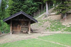 alpino animale parco o zoo nel Bregenz. alpenwildpark pfander. foto