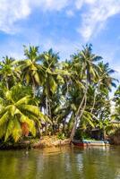 barca safari attraverso mangrovia giungla bentota ganga fiume bentota spiaggia sri lanka. foto