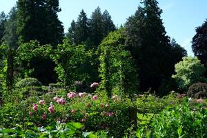 il famoso giardini di macellaio su Vittoria isola. Canada. il butchart giardini foto