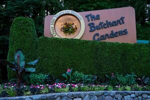 il famoso giardini di macellaio su Vittoria isola. Canada. il butchart giardini foto