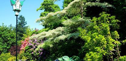 il famoso giardini di macellaio su Vittoria isola. Canada. il butchart giardini foto