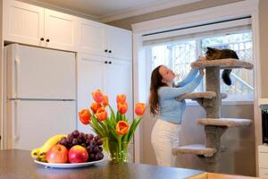 giovane donna giocando con gatto nel cucina a casa. ragazza Tenere e abbracciare Zenzero gatto. contento maestro avendo divertimento con sua animale domestico foto