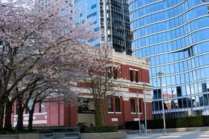 vario riconoscibile posti e attrazioni di vancouver nel Canada città centro bene tempo metereologico pulito centro blu cielo enorme edifici grattacieli molti video e fotografie di Questo argomento Britannico columbia