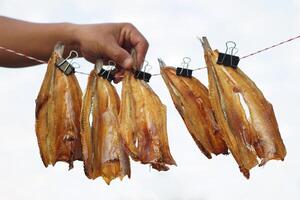 secco pesce sospeso per asciutto su un' linea all'aperto. concetto, cibo preservazione per Il prossimo tempo cucinando o mantenere lungo vivere di cibo di essiccazione su luce del sole o aria. Locale saggezza di mantenere cibo. foto