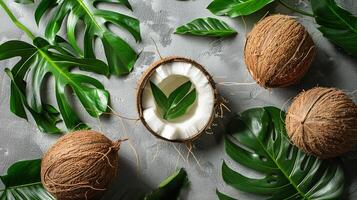 noci di cocco e le foglie su un' grigio superficie foto