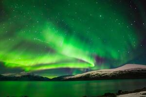 bellissimo aurora della natura abbagliante leggero mostrare vernici il notte cielo con magnifico colori, avvincente spettatori In tutto il mondo nel soggezione foto