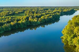 mozzafiato paesaggio un' bellissimo fiume venti attraverso affascinante aria e lussureggiante alberi, offerta un' sereno e pittoresco fuga in della natura tranquillo e verdeggiante abbraccio foto