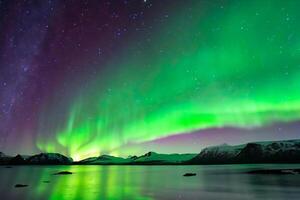 bellissimo aurora della natura abbagliante leggero mostrare vernici il notte cielo con magnifico colori, avvincente spettatori In tutto il mondo nel soggezione foto