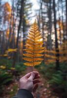 persona Tenere un' giallo foglia nel foresta foto