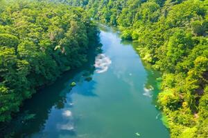 mozzafiato paesaggio un' bellissimo fiume venti attraverso affascinante aria e lussureggiante alberi, offerta un' sereno e pittoresco fuga in della natura tranquillo e verdeggiante abbraccio foto