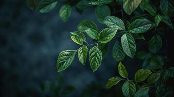 mucchio di verde le foglie su il terra foto