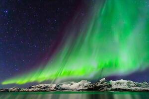 bellissimo aurora della natura abbagliante leggero mostrare vernici il notte cielo con magnifico colori, avvincente spettatori In tutto il mondo nel soggezione foto