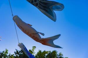 carpa stella filante a il parco nel tokyo giorno soleggiato foto