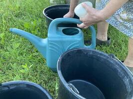 un' donna versa acqua in un' irrigazione può per acqua il giardino foto