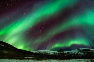 bellissimo aurora della natura abbagliante leggero mostrare vernici il notte cielo con magnifico colori, avvincente spettatori In tutto il mondo nel soggezione foto