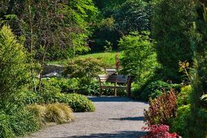 sereno giardino con di legno panchina e lussureggiante verdura foto