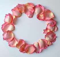cerchio di rosa fiori su bianca superficie foto
