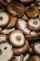 vendita del raccolto biologico di funghi sani foto