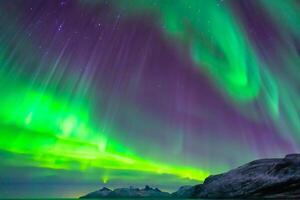 bellissimo aurora della natura abbagliante leggero mostrare vernici il notte cielo con magnifico colori, avvincente spettatori In tutto il mondo nel soggezione foto