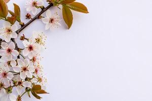 bellissimo parole su bianca carta un' senza tempo espressione di eleganza e semplicità catturato nel pulito Linee e croccante bordi, offerta un' puro e classico tela per pensieri e creatività per fiorire foto