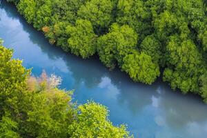 mozzafiato paesaggio un' bellissimo fiume venti attraverso affascinante aria e lussureggiante alberi, offerta un' sereno e pittoresco fuga in della natura tranquillo e verdeggiante abbraccio foto