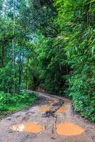 segni di pneumatici per auto sulla strada di campagna foto