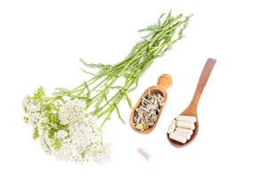 concetto di medicina tradizionale, piante medicinali e capsule a base di erbe foto