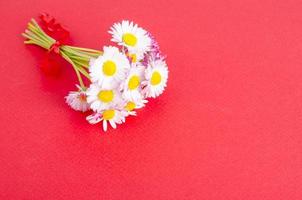 sfondo di carta brillante per biglietto di auguri con delicate margherite rosa. foto