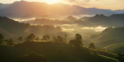 immagini di panoramico visualizzazioni nel collinoso le zone pieno di ombreggiato e verde alberi nel il mattina e fresco rugiada incontro il natura tema foto