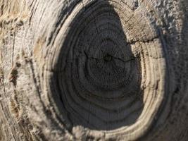 bellissimo sfondo in legno naturale. foto