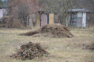 un mucchio di fieno e letame preparato per concimare l'orto per l'inverno foto