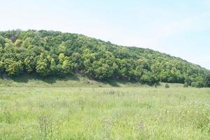 paesaggio rurale. campo e foresta foto