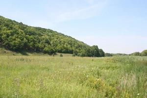 paesaggio rurale. campo e foresta foto